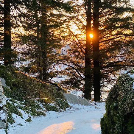 Modern Suites, Excellent Location In The Heart Of Μπέργκεν