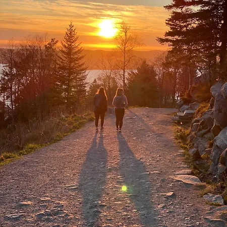 Appartamento Modern Suites, Excellent Location In The Heart Of *