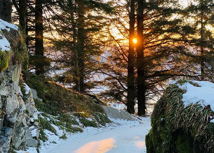 Modern Suites, Excellent Location In The Heart Of Берген