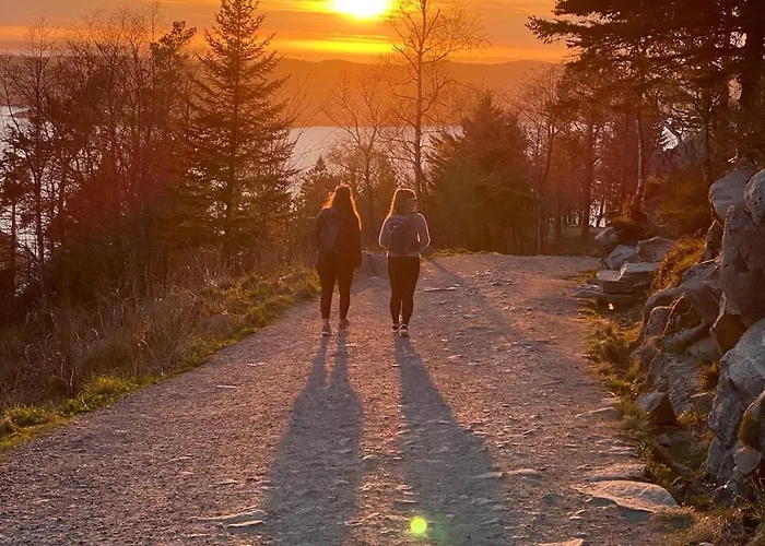 Апартаменты Modern Suites, Excellent Location In The Heart Of *